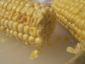 Feb7,2011 025